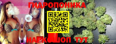 эйфоретик Добрянка