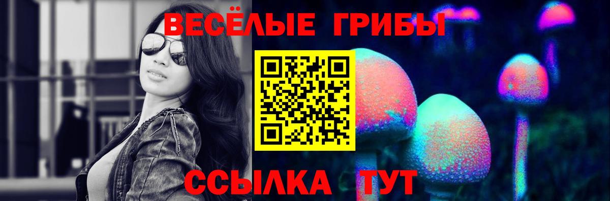 Галлюциногенные грибы MAGIC MUSHROOMS Ачхой-Мартан